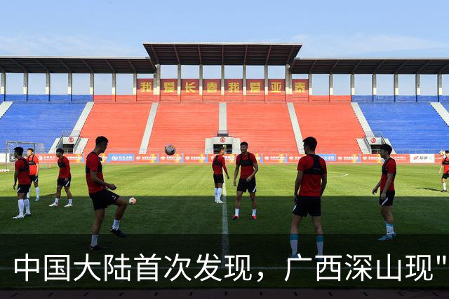 中国大陆首次发现，广西深山现"日本独有兰"，来源至今难解