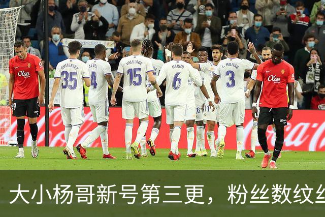 大小杨哥新号第三更，粉丝数纹丝不动