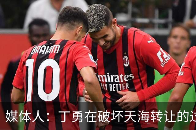 媒体人：丁勇在破坏天海转让的过程中曾拉刘奕下水