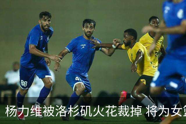 杨力维被洛杉矶火花裁掉 将为女篮争奥运门票