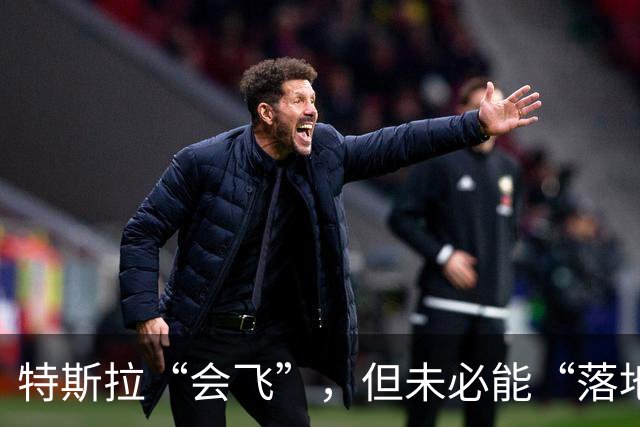 特斯拉“会飞”，但未必能“落地” | 新京报快评