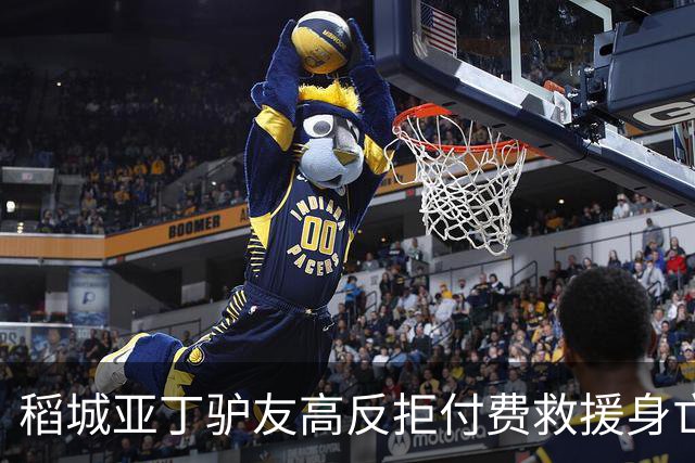 稻城亚丁驴友高反拒付费救援身亡，命没了钱有啥用？